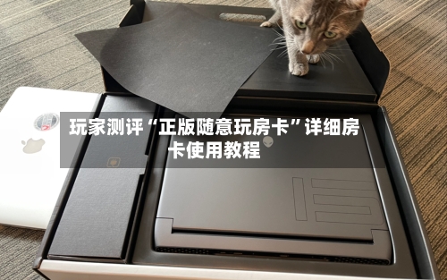 玩家测评“正版随意玩房卡”详细房卡使用教程-第2张图片