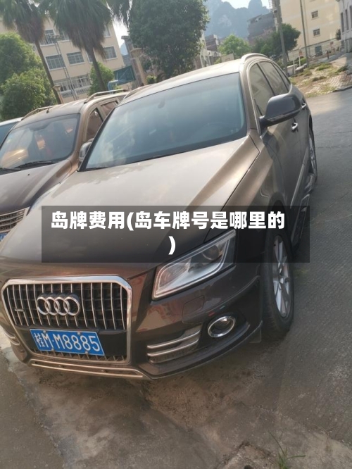 岛牌费用(岛车牌号是哪里的)-第3张图片