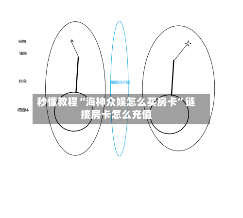 秒懂教程“海神众娱怎么买房卡”链接房卡怎么充值-第2张图片