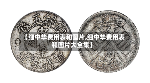 【细中华费用表和图片,细中华费用表和图片大全集】