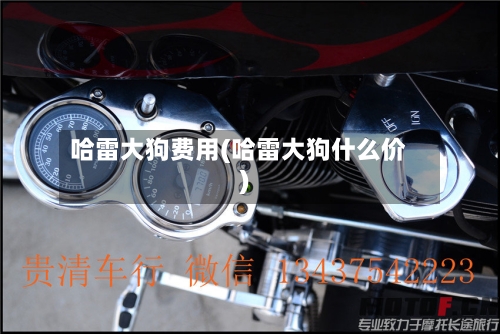哈雷大狗费用(哈雷大狗什么价)-第2张图片