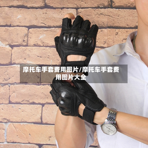 摩托车手套费用图片/摩托车手套费用图片大全-第3张图片