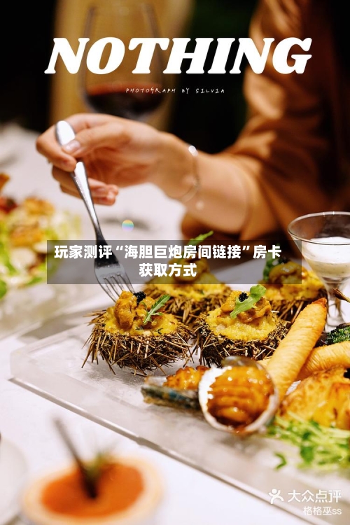 玩家测评“海胆巨炮房间链接”房卡获取方式-第2张图片