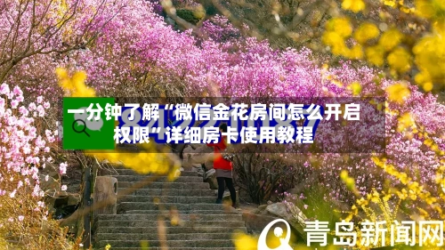 一分钟了解“微信金花房间怎么开启权限”详细房卡使用教程-第2张图片