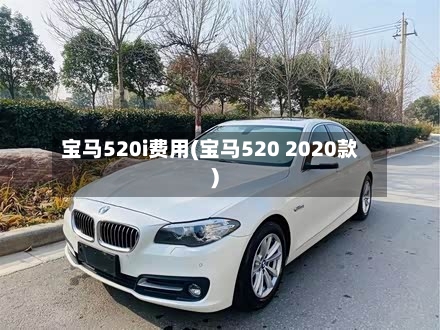 宝马520i费用(宝马520 2020款)-第2张图片