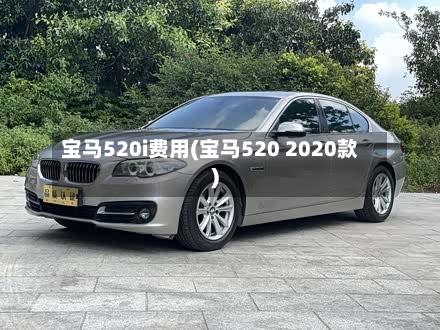 宝马520i费用(宝马520 2020款)-第3张图片