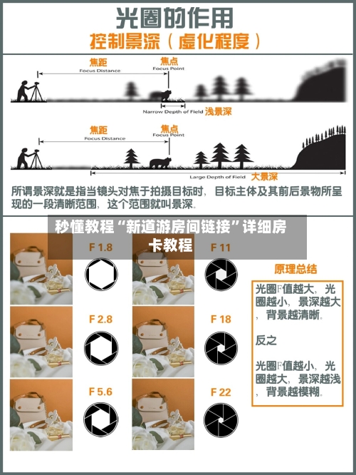 秒懂教程“新道游房间链接”详细房卡教程-第3张图片