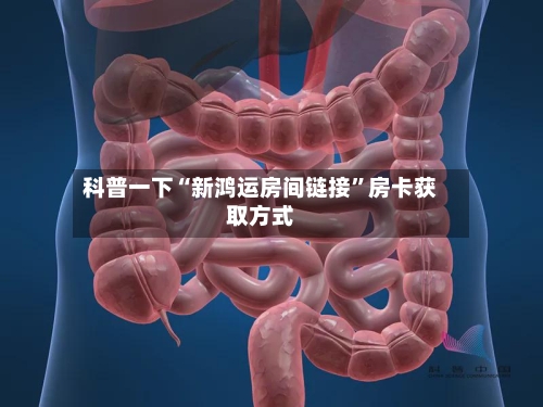 科普一下“新鸿运房间链接”房卡获取方式-第3张图片