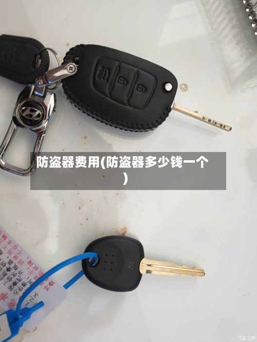 防盗器费用(防盗器多少钱一个)