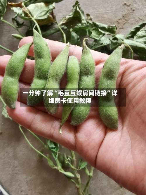 一分钟了解“毛豆互娱房间链接”详细房卡使用教程