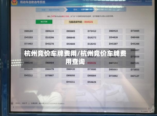 杭州竞价车牌费用/杭州竞价车牌费用查询