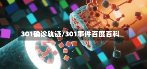 301确诊轨迹/301事件百度百科