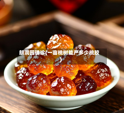 朗润园确诊(一亩桃树能产多少桃胶)