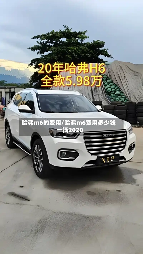 哈弗m6的费用/哈弗m6费用多少钱一辆2020