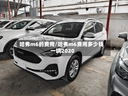 哈弗m6的费用/哈弗m6费用多少钱一辆2020-第3张图片