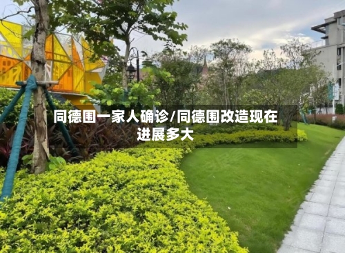 同德围一家人确诊/同德围改造现在进展多大