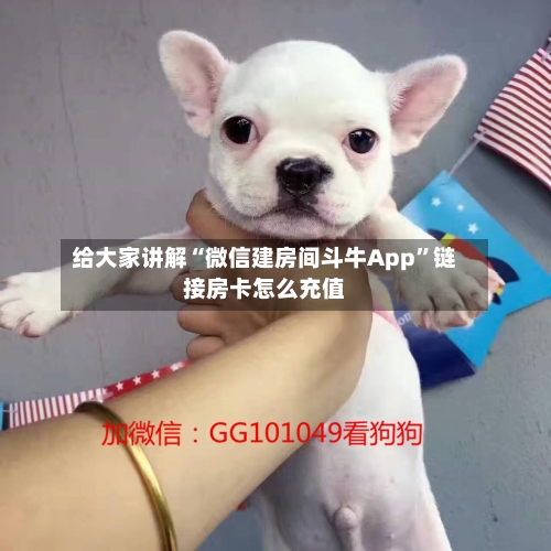 给大家讲解“微信建房间斗牛App	”链接房卡怎么充值-第2张图片