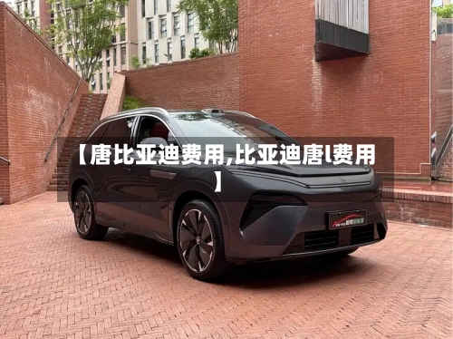 【唐比亚迪费用,比亚迪唐l费用】