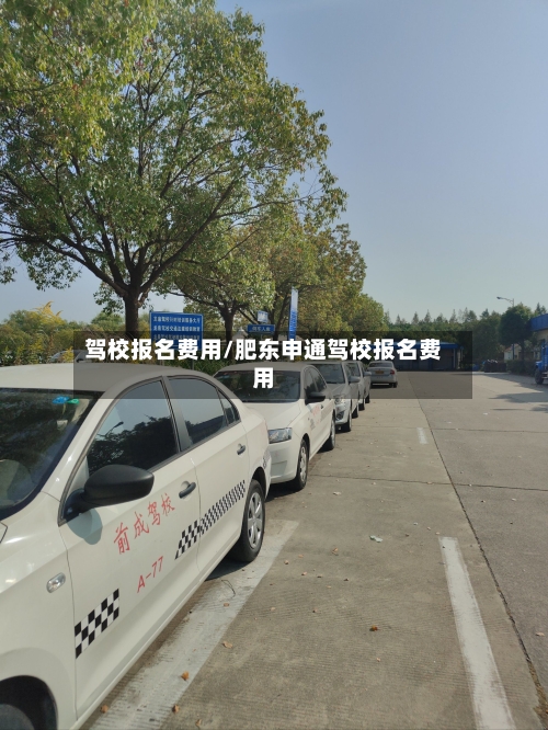 驾校报名费用/肥东申通驾校报名费用-第2张图片