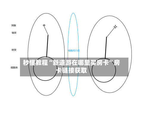 秒懂教程“新道游在哪里买房卡”房卡链接获取-第2张图片