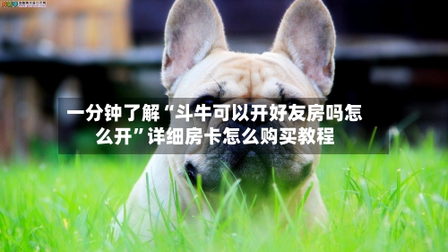 一分钟了解“斗牛可以开好友房吗怎么开”详细房卡怎么购买教程