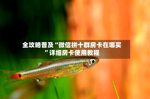 全攻略普及“微信拼十群房卡在哪买”详细房卡使用教程
