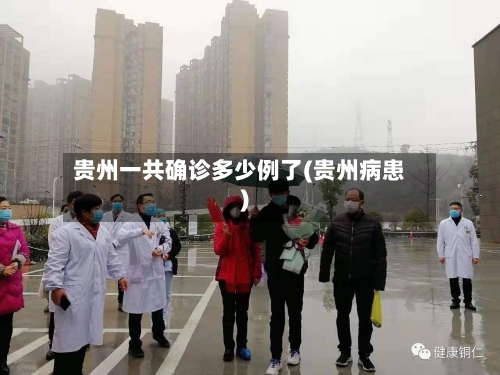 贵州一共确诊多少例了(贵州病患)-第3张图片