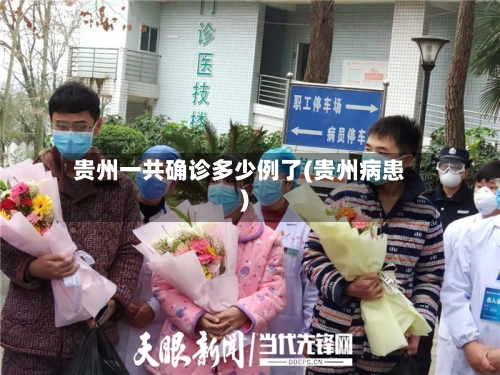 贵州一共确诊多少例了(贵州病患)