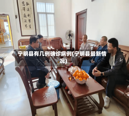 宁明县有几例确诊病例(宁明县最新情况)
