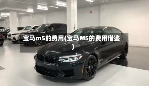宝马m5的费用(宝马M5的费用借鉴)