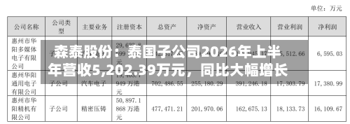 森泰股份:泰国子公司2026年上半年营收5,202.39万元,同比大幅增长