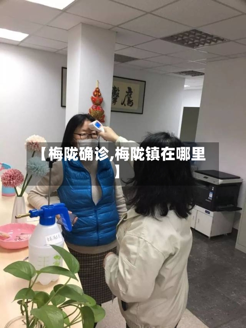 【梅陇确诊,梅陇镇在哪里】