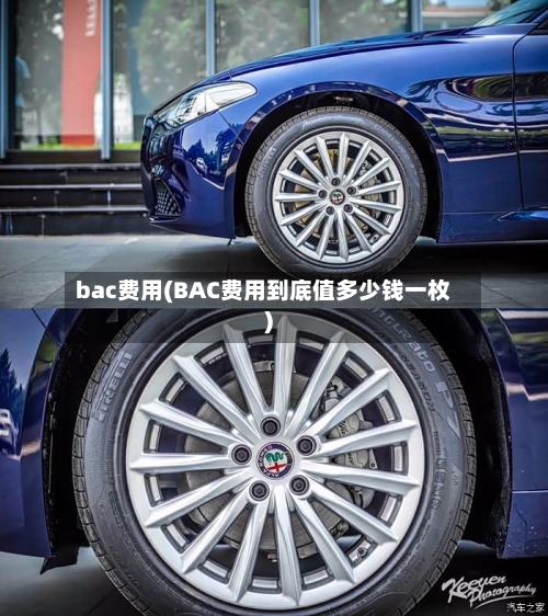 bac费用(BAC费用到底值多少钱一枚)-第3张图片