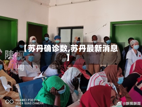 【苏丹确诊数,苏丹最新消息】