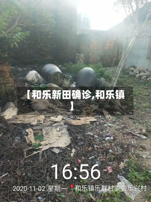 【和乐新田确诊,和乐镇】-第3张图片