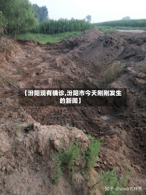 【汾阳现有确诊,汾阳市今天刚刚发生的新闻】