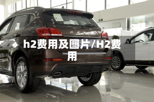 h2费用及图片/H2费用-第2张图片