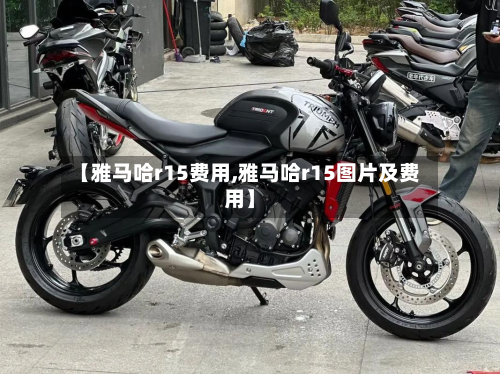 【雅马哈r15费用,雅马哈r15图片及费用】