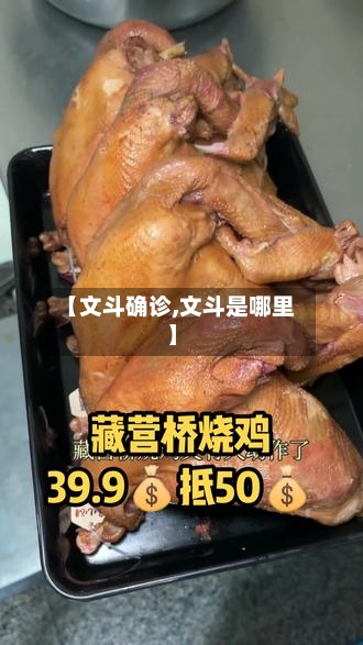 【文斗确诊,文斗是哪里】