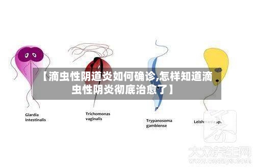 【滴虫性阴道炎如何确诊,怎样知道滴虫性阴炎彻底治愈了】