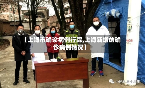 【上海市确诊病例行踪,上海新增的确诊病例情况】-第2张图片