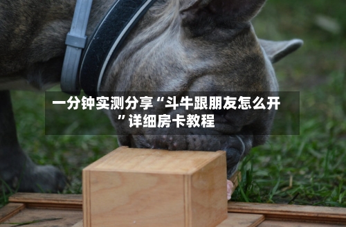 一分钟实测分享“斗牛跟朋友怎么开”详细房卡教程-第2张图片