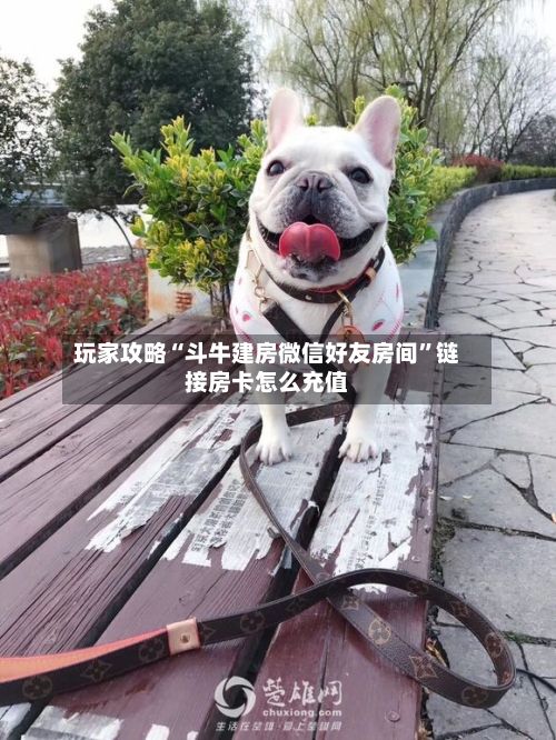 玩家攻略“斗牛建房微信好友房间”链接房卡怎么充值-第2张图片