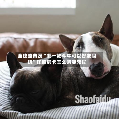 全攻略普及“哪一款斗牛可以好友同玩”详细房卡怎么购买教程-第2张图片