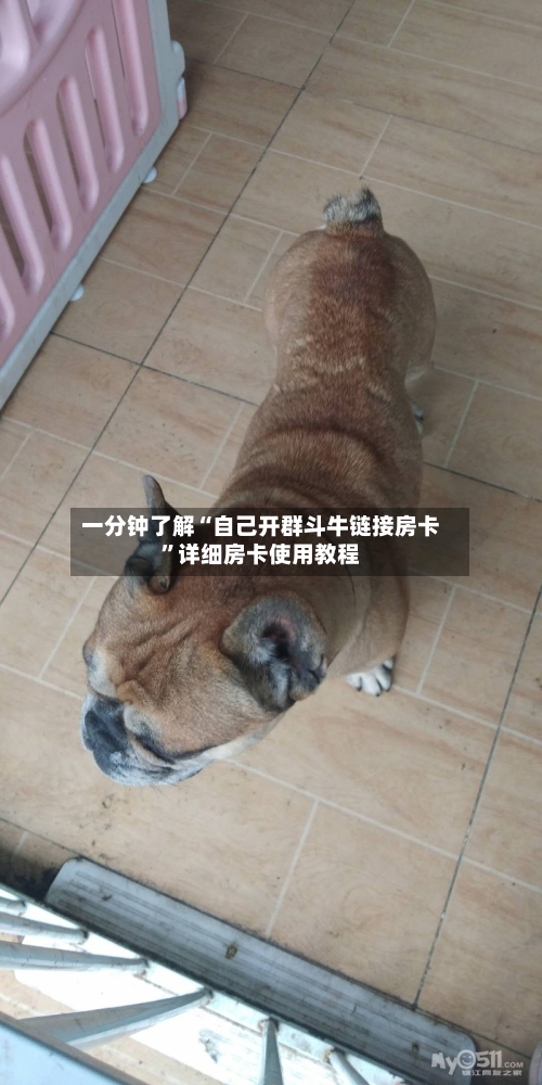 一分钟了解“自己开群斗牛链接房卡”详细房卡使用教程