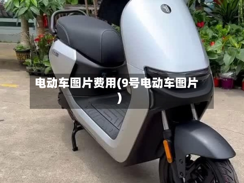 电动车图片费用(9号电动车图片)-第2张图片