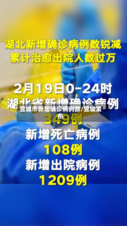 宣城市新增确诊病例数/宣城发布-第2张图片