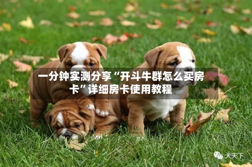一分钟实测分享“开斗牛群怎么买房卡”详细房卡使用教程