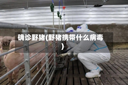 确诊野猪(野猪携带什么病毒)-第3张图片