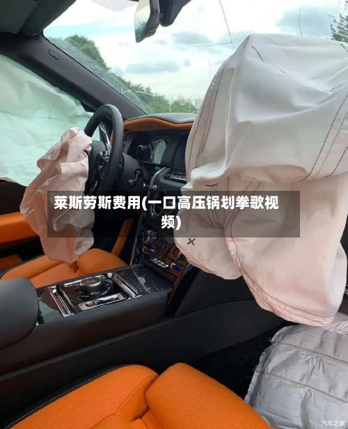 莱斯劳斯费用(一口高压锅划拳歌视频)-第2张图片